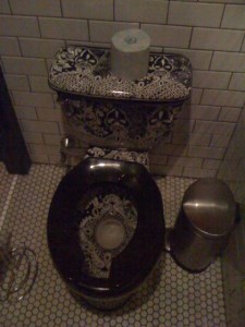 fancy toilet